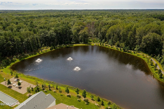 aerial view with a water view and a view of trees