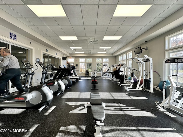 exercise room with a paneled ceiling