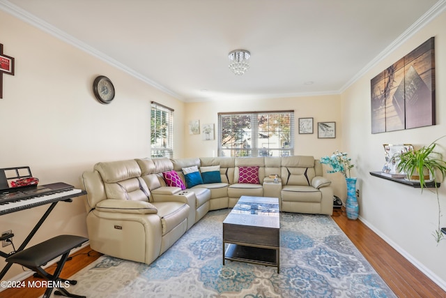 living room with ornamental molding and hardwood / wood-style flooring