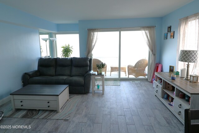 living area featuring wood finished floors