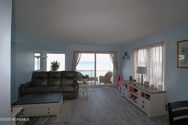 living area with wood finished floors