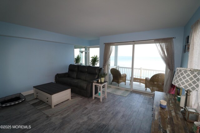 living room featuring wood finished floors