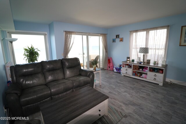 living area featuring dark wood finished floors