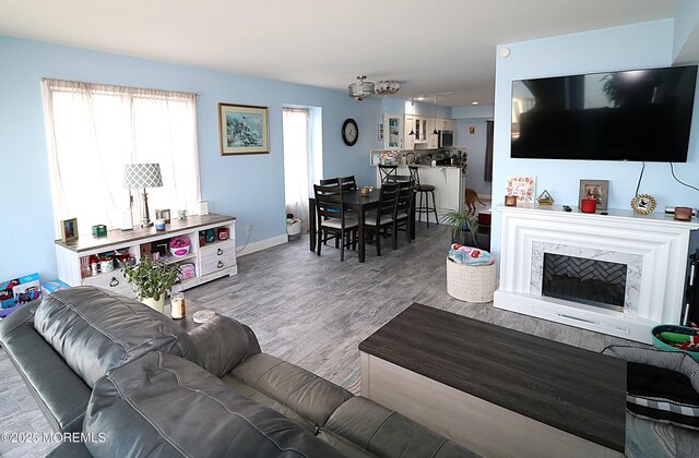 living area featuring a premium fireplace, wood finished floors, and baseboards