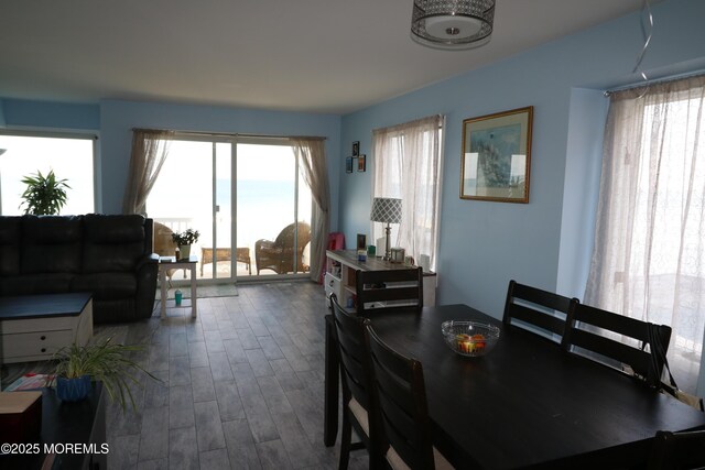 dining space with dark wood-style flooring and plenty of natural light