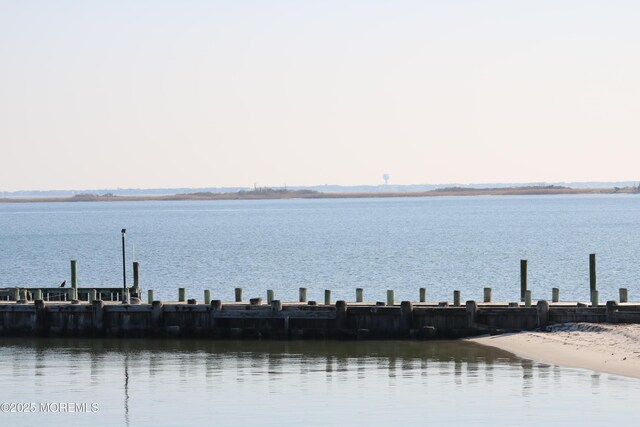 view of water feature with a dock