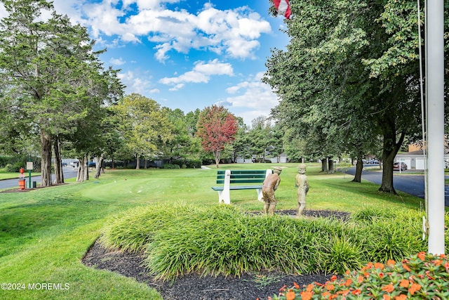 view of community featuring a lawn