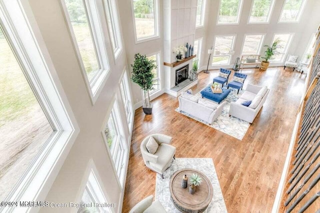 living room with light wood-type flooring, a towering ceiling, and a healthy amount of sunlight