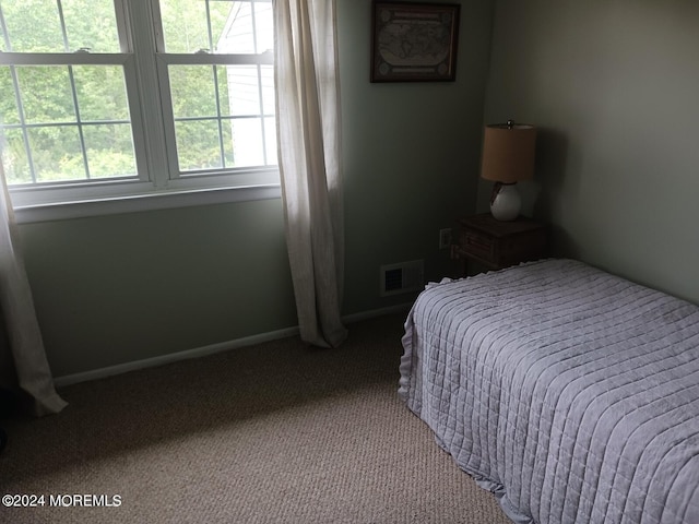 carpeted bedroom with multiple windows