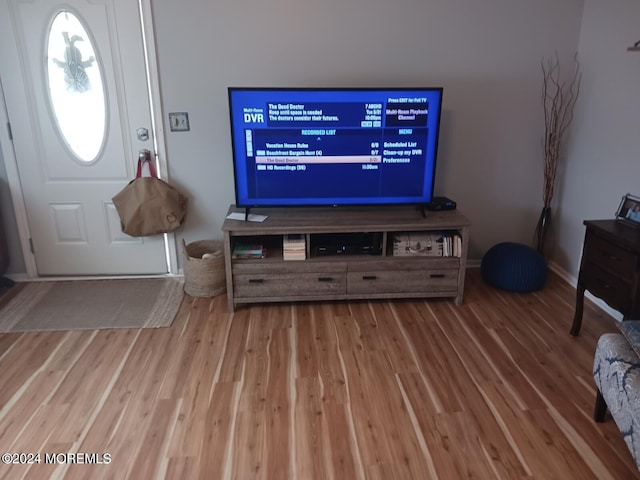 living room with wood-type flooring