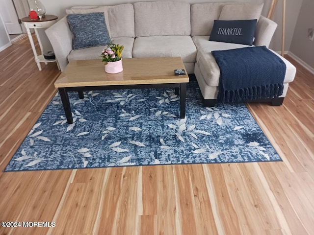 living room featuring hardwood / wood-style flooring