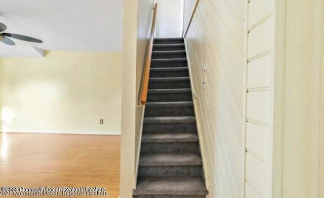 stairway with ceiling fan and wood-type flooring