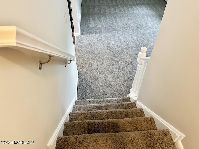 stairs with carpet flooring