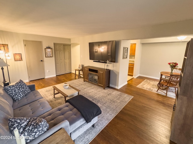 living room with a fireplace and dark hardwood / wood-style floors