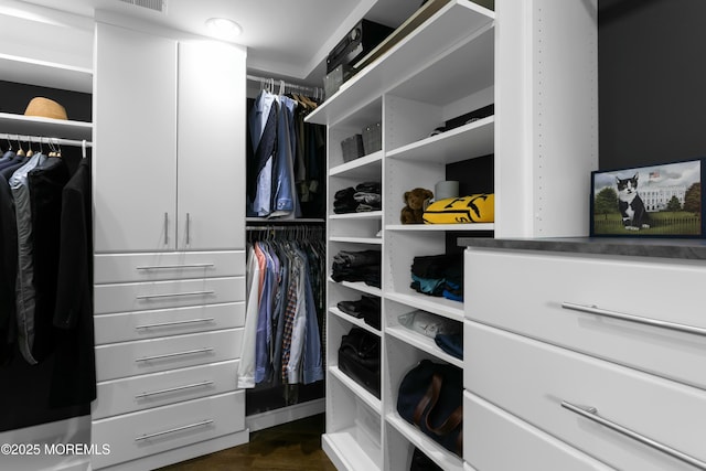 spacious closet featuring dark wood-type flooring and visible vents