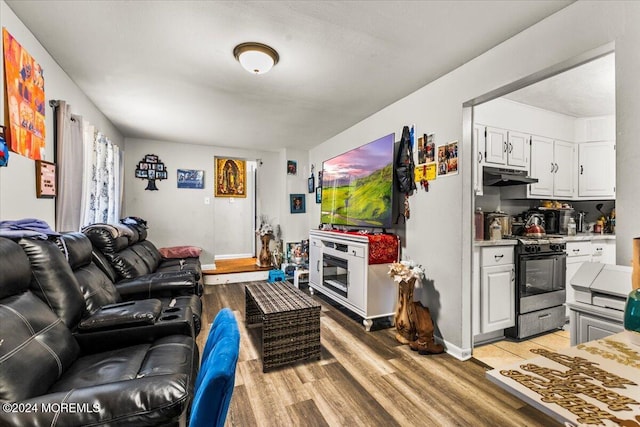 living room with light hardwood / wood-style flooring