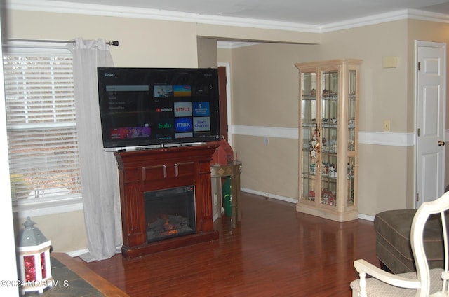 living room featuring dark wood-type flooring and crown molding