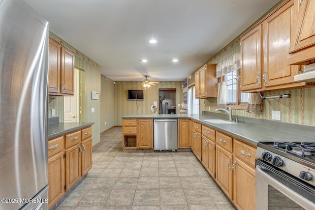 kitchen with kitchen peninsula, ceiling fan, sink, and stainless steel appliances