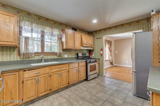 kitchen with a healthy amount of sunlight, sink, and stainless steel appliances