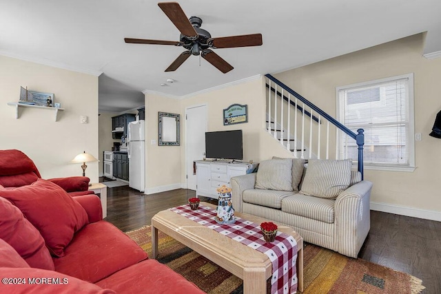 living room featuring ceiling fan, dark wood-type flooring, and ornamental molding