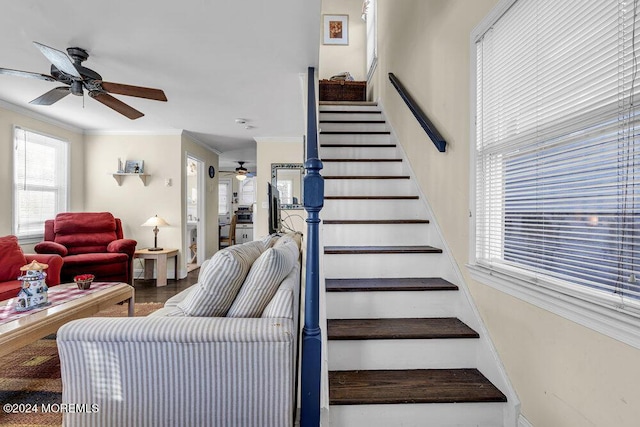 stairway featuring crown molding, plenty of natural light, and ceiling fan