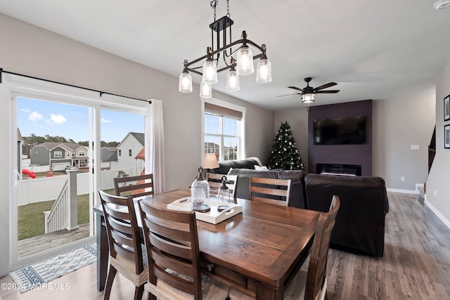 dining area with a large fireplace, ceiling fan, and hardwood / wood-style floors