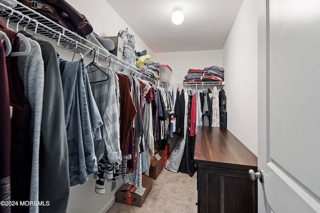 spacious closet featuring carpet flooring