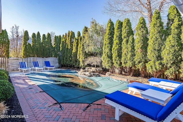 view of swimming pool featuring a patio