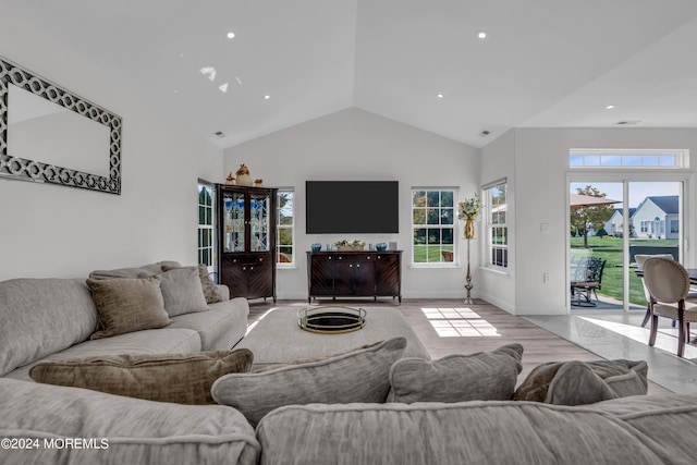 living room with lofted ceiling