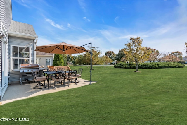 view of yard featuring a patio area