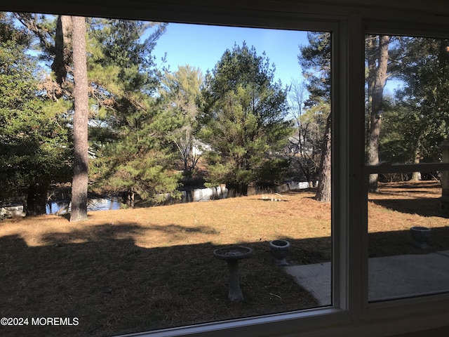 view of yard with a water view