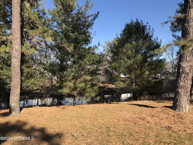 view of yard with a water view