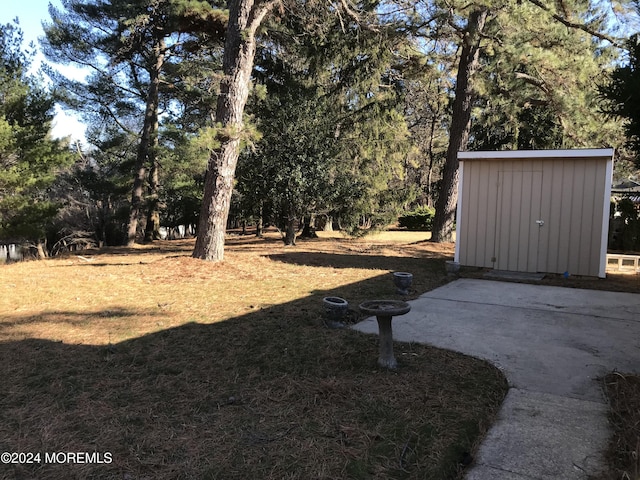 view of yard with a storage shed and a patio