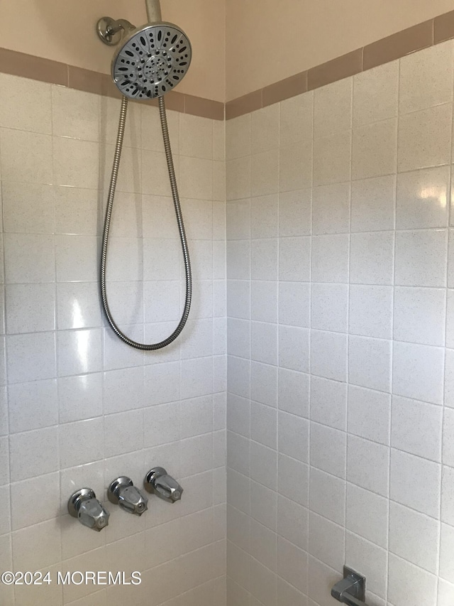 interior space with tiled shower