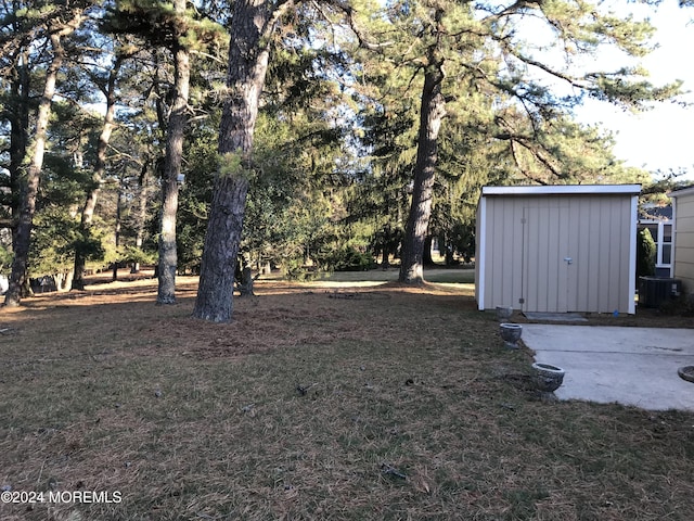 view of yard featuring a storage unit