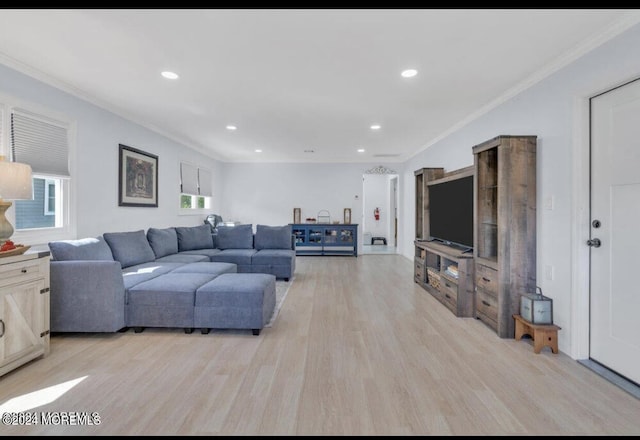 living room featuring crown molding and light hardwood / wood-style flooring