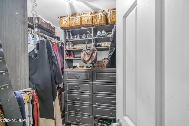 view of spacious closet