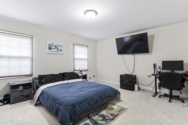 carpeted bedroom with multiple windows