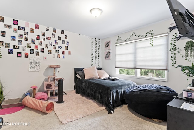 bedroom featuring carpet flooring