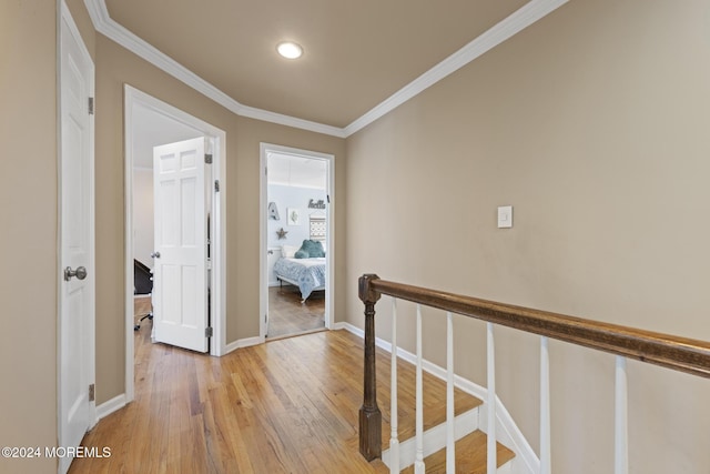 hallway featuring hardwood / wood-style flooring and crown molding