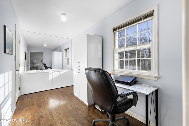 office space featuring a wealth of natural light and dark wood-type flooring