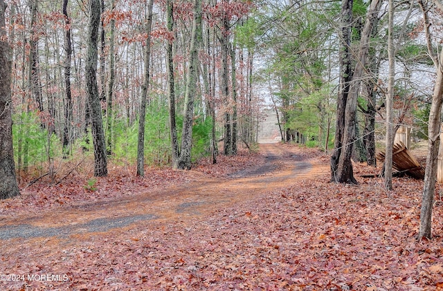 view of road