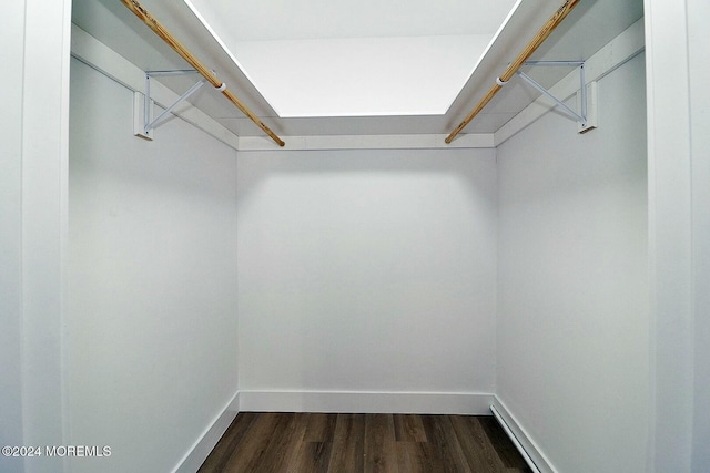 spacious closet featuring dark wood-type flooring