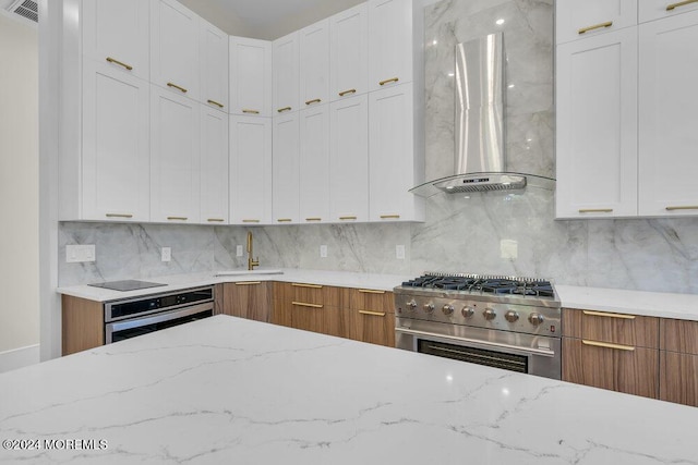 kitchen with white cabinets, wall chimney exhaust hood, sink, and stainless steel appliances