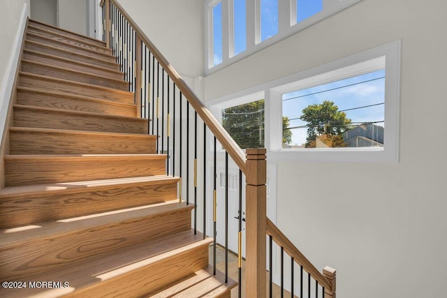 stairs featuring hardwood / wood-style flooring