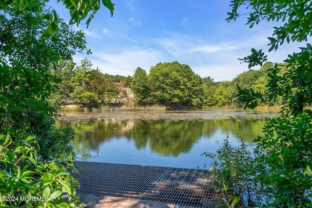 property view of water