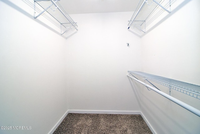 spacious closet with carpet floors