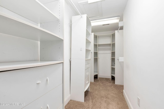 walk in closet with light colored carpet