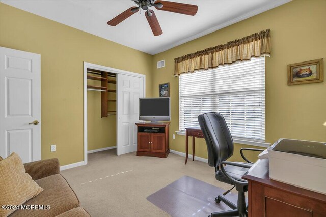 22 Winkle Ct, Whiting, NJ 08759 - photo 34