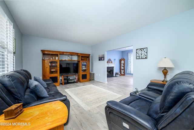 living room featuring light hardwood / wood-style floors